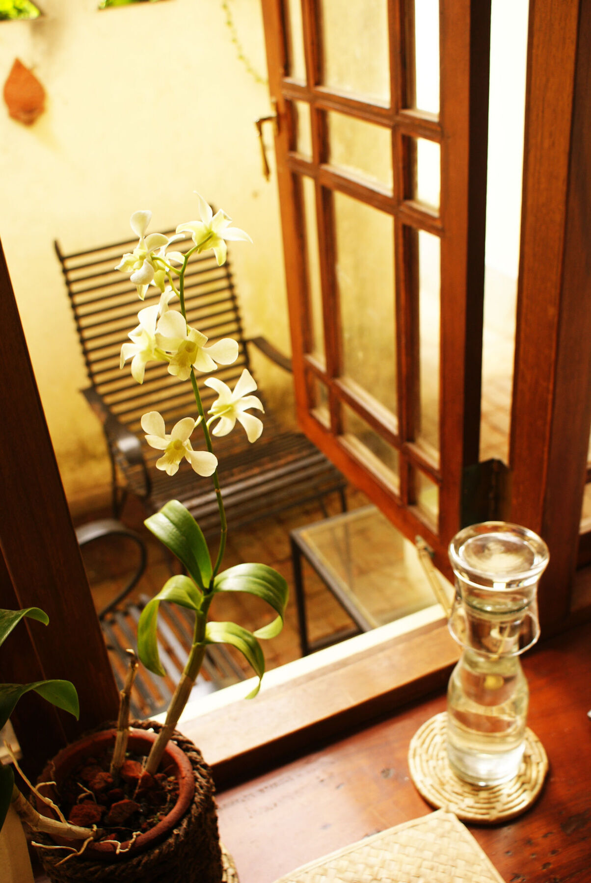 The Havelock Place Bungalow Colombo Luaran gambar
